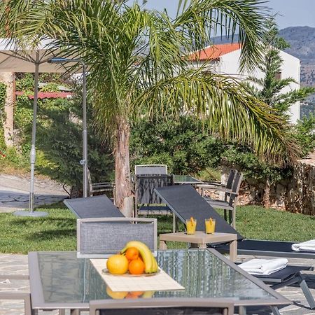Apokoronas Views Villa Neon Khorion  外观 照片